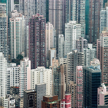 Transport roślin domowych: Jak bezpiecznie przetransportować swoje zielone skarby?